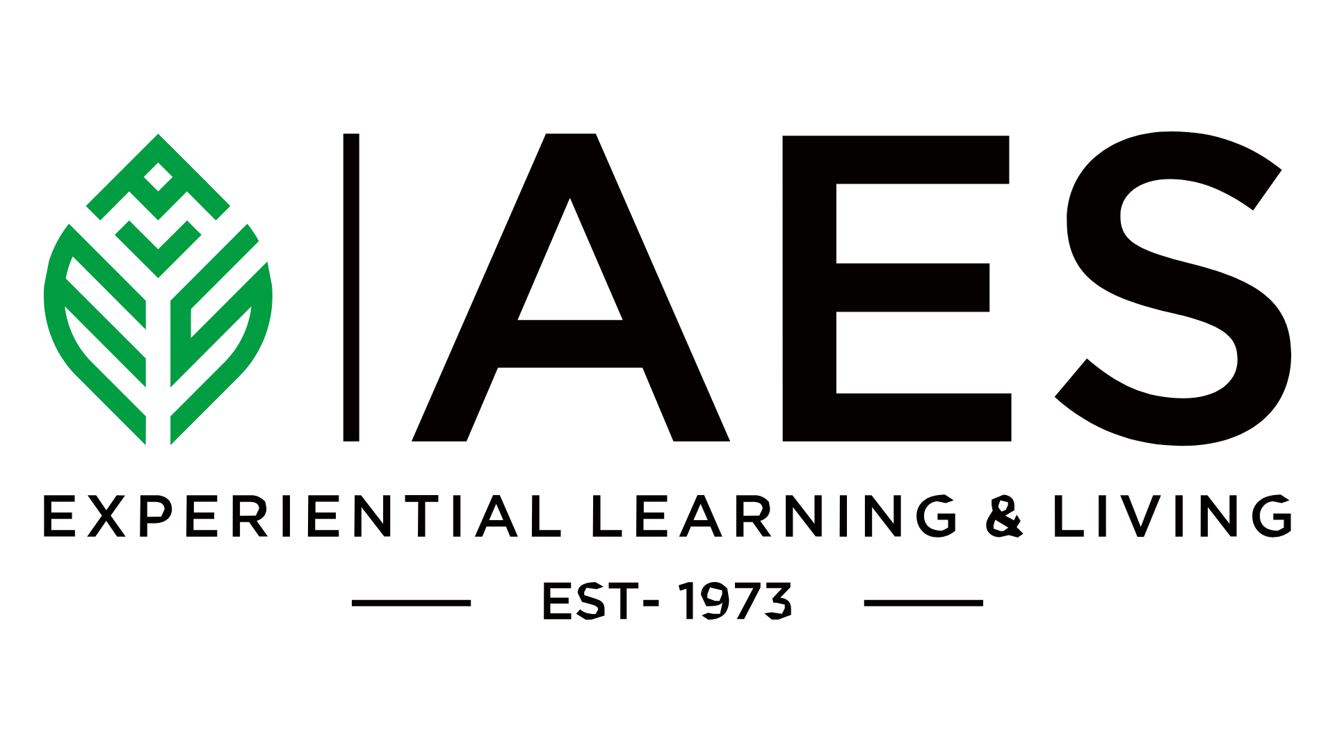 AES testi