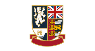 Buckswood Lions